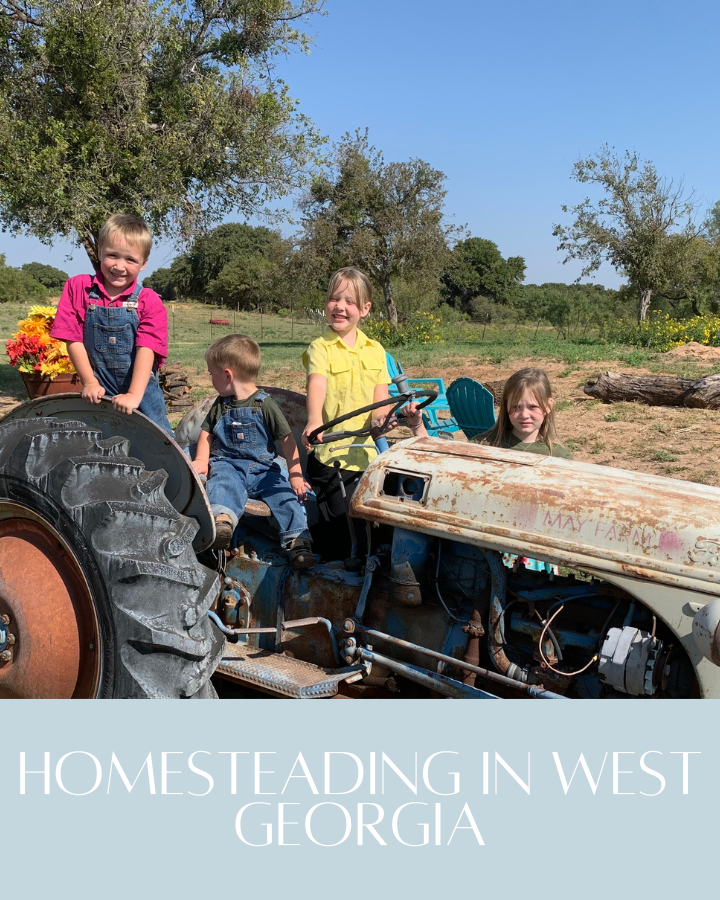 homesteading in west georgia, buy land now with Cynosure Realty Group